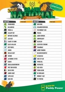 Aintree Grand National Sweepstake kit