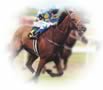 Thoroughbred Books
