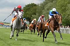 UK horse racing
