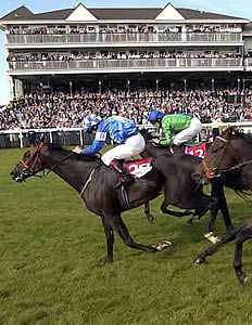 Quito winning the 2003 Ayr Gold Cup