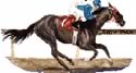 "The Best Yet" Horse Ratings