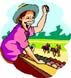 gambling granny