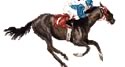 Timeking ratings