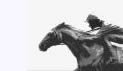 horse-laying.co
