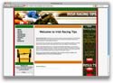 Irish Racing Tips