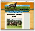 Lay Daily Donkeys 