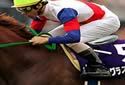 Racing Express