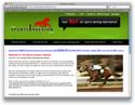 The Sports Investor