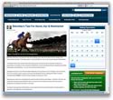 uk horse racing information Racing Tips