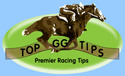 Top GG Tips