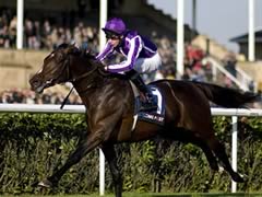 Camelot 
