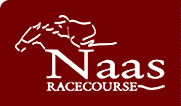 naas racecourse