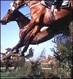 Grand National fence