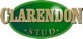 Clarendon Stud