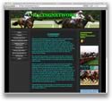 RacingNetwork