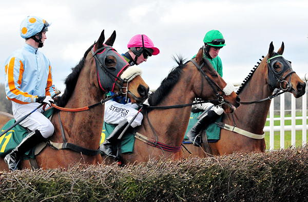 Aintree Grand National 2013