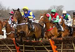 Cheltenham Festival