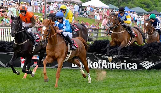 Iroquois Steeplechase