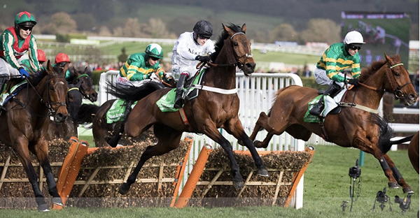 Cheltenham races