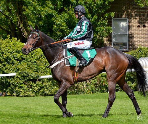 Altior