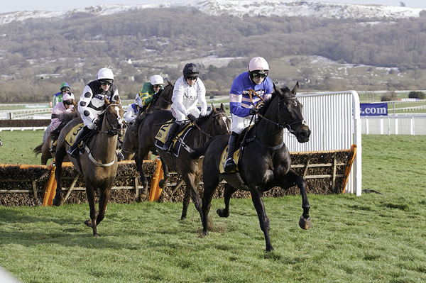 Cheltenham Festival