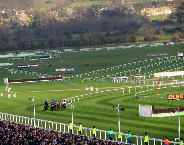 Champion Hurdle by Carine06, on Flickr