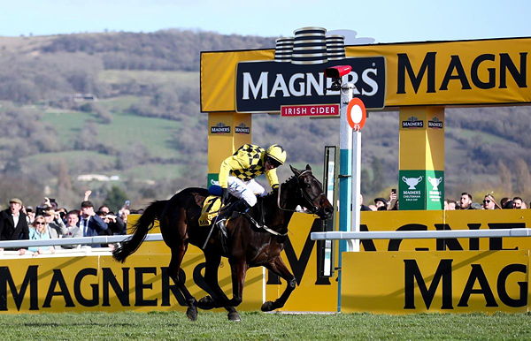 Cheltenham Gold Cup