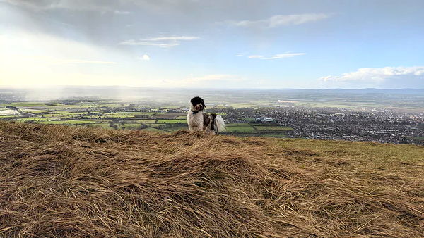 Cleeve Hill as it stands today 