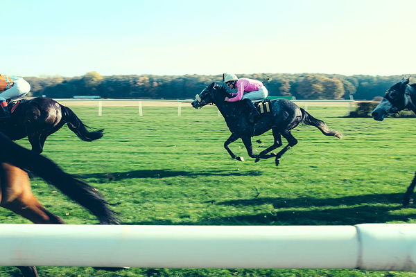 The Cheltenham Festival first began as a flat racing event