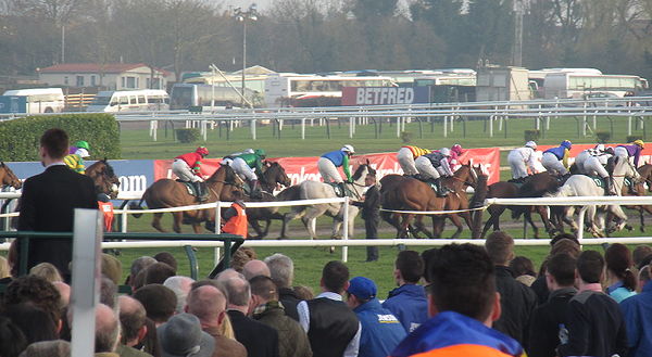 cheltenham festival