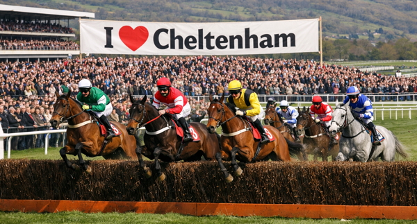I love Cheltenham