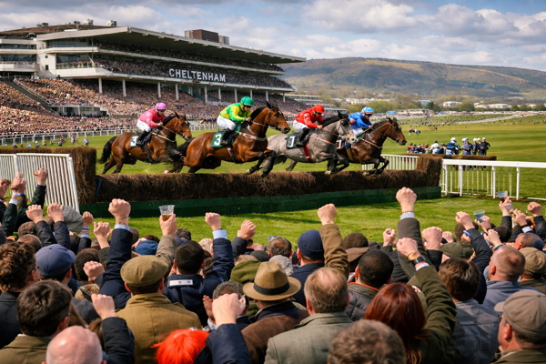 Cheltenham Certainties