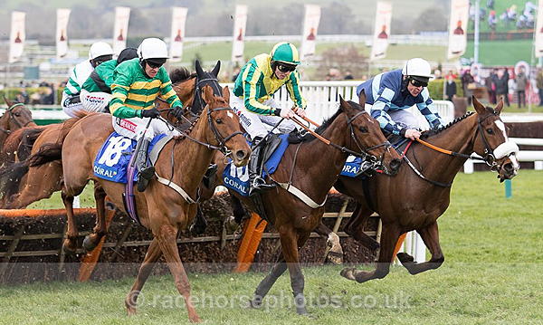 Cheltenham Horse Racing Festival