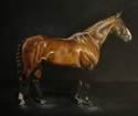 Laura Barber-Riley Equine & Pet Artist