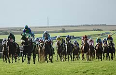 ormal Decree and Jamie Spencer come from last to first and turn the Cambridgeshire into a procession, winning from Blue Bajan, Pinpoint and Take A Bow (Newmarket 30-09-06)