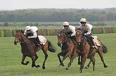 Luca Cumani trio breeze up the Limekilns at Newmarket