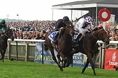 Teofilo (Kevin Manning farside) and Holy Roman Empire (Mick Kinane) treat the huge crowd to a stirring finish in the Dewhurst Stakes
