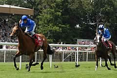 Kite Wood