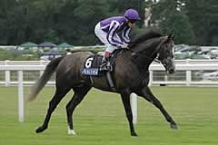 Mastercraftsman