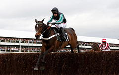 Altior