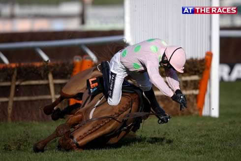 Annie Power falls