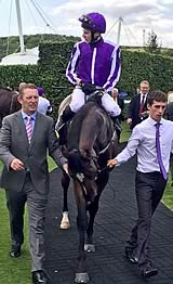 Highland Reel