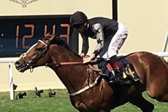 Rajasinghe