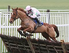 Annie Power