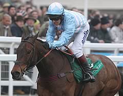 Cheltenian