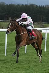 Faugheen