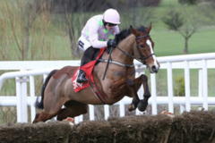 Faugheen