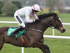 Vautour