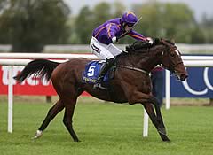 Wicklow Brave