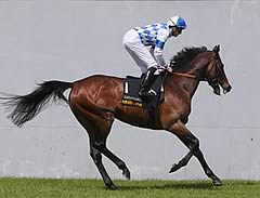 Al Kazeem